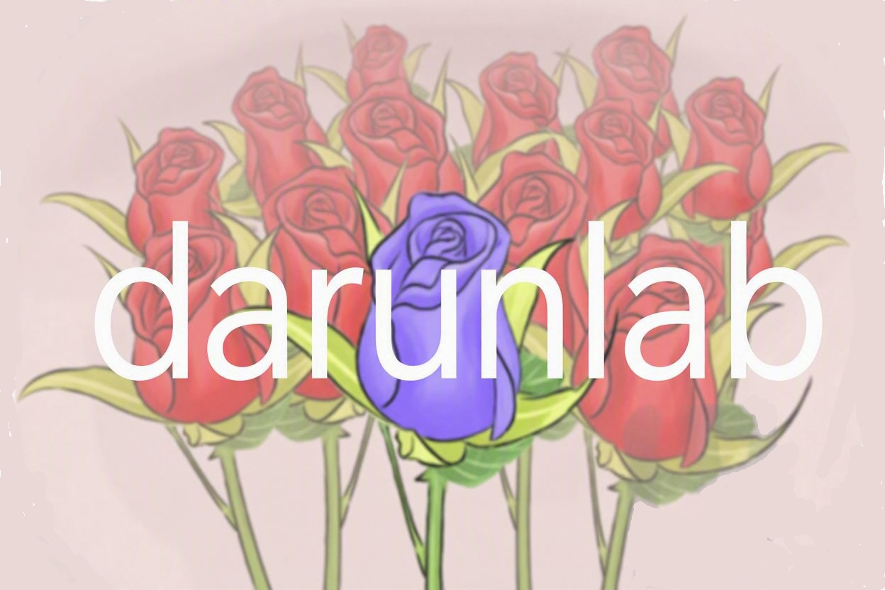DarunLab 9